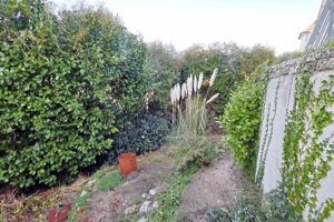 Photo 10- click for photo gallery